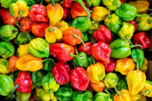 pile-of-chilies-1374651